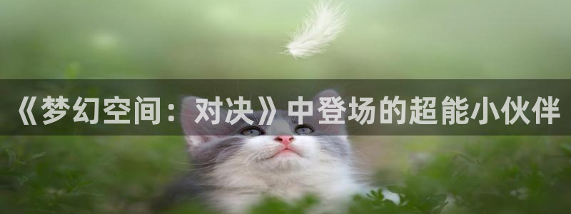 age动漫-专注动漫的门户网站：《梦幻空间：对决》中登场的超能小伙伴